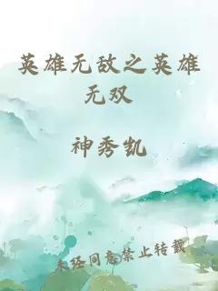 英雄无敌之英雄无双