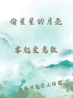 偷星星的月亮