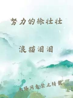 努力的徐壮壮